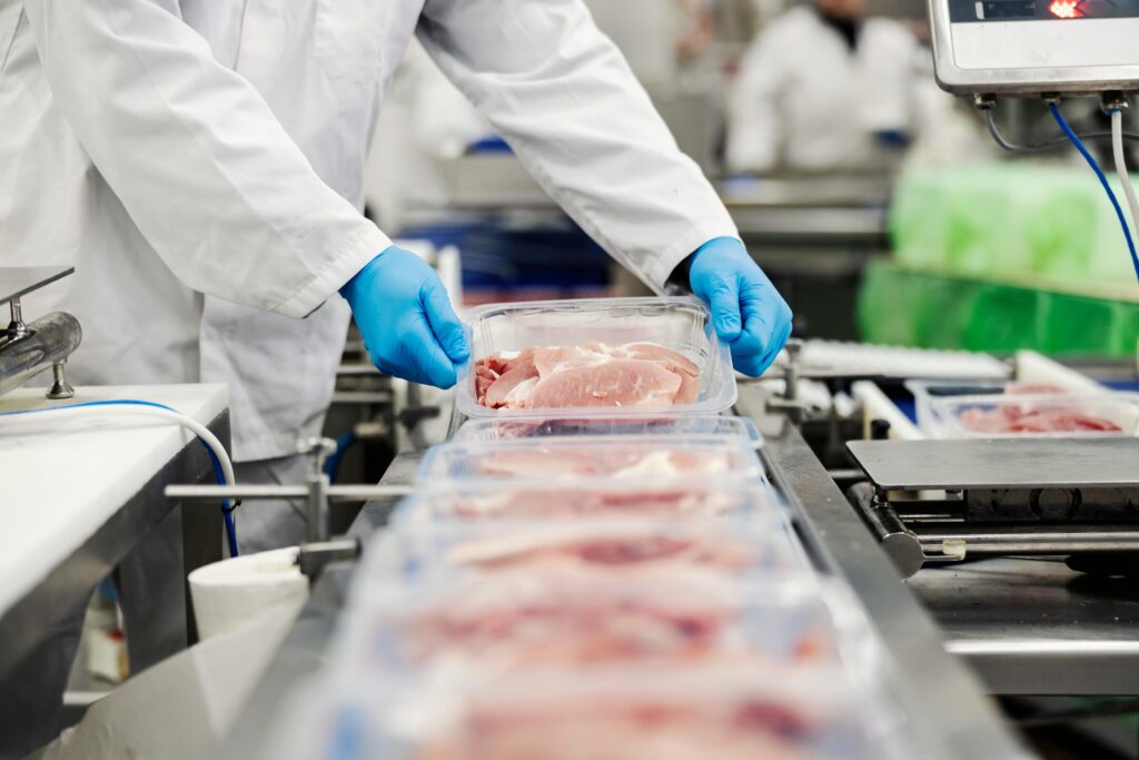 Food processing facility using a conveyor belt.