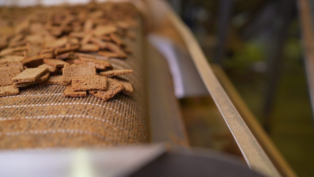 Crackers on a wire mesh conveyor belt.